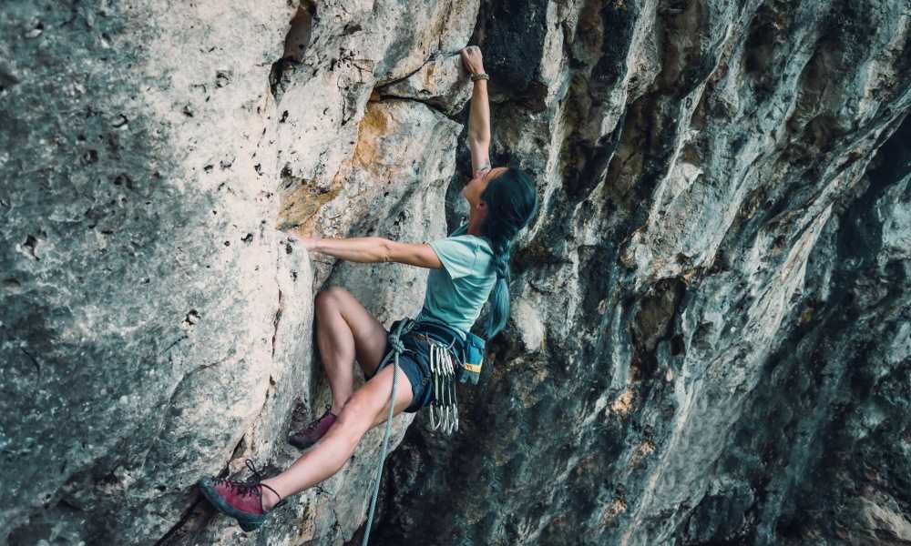 Best Climbing Harness of 2019 Complete Reviews With Comparisons