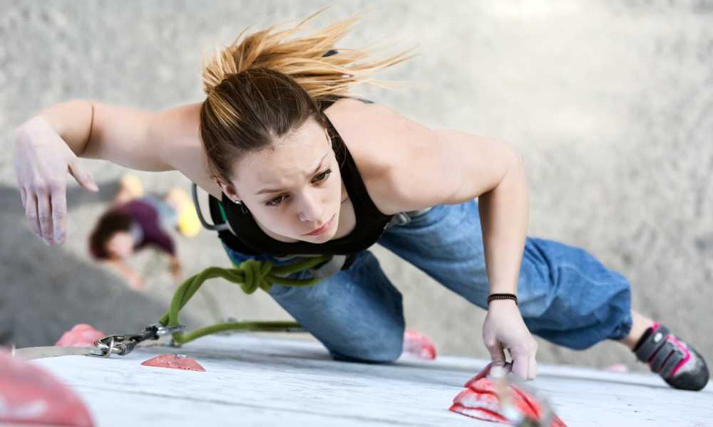 Best Women’s Climbing Harness of 2019 Complete Review With Comparison